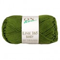 Linie 165 Sandy